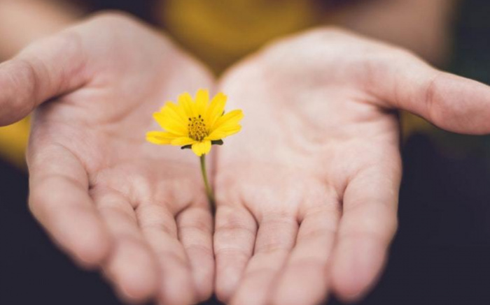 AI Apologizing & Forgiveness